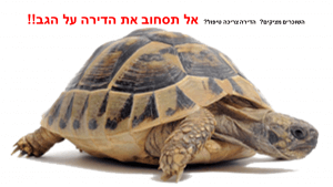 אל תסחוב את הדירה על הגב סוחב את הבית על הגב