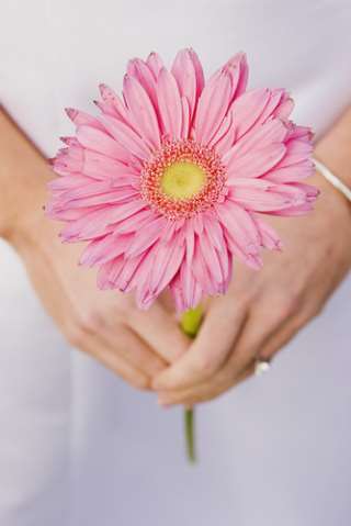 pink flower