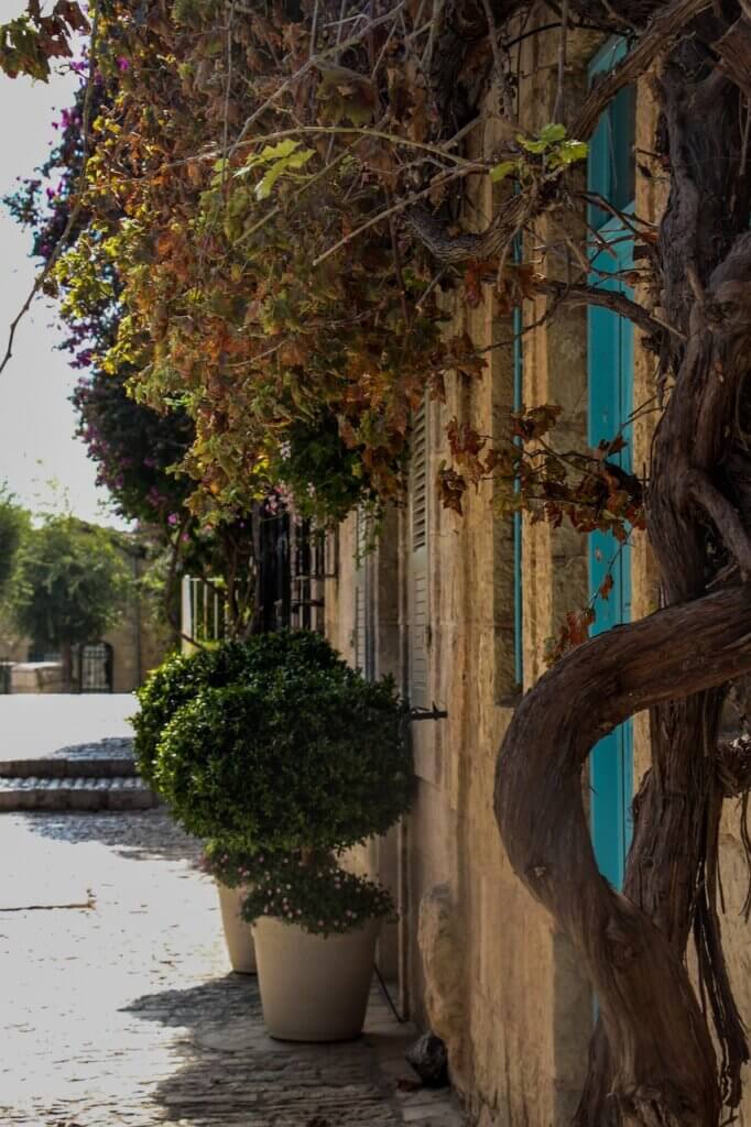 חברת ניהול דירות בירושלים